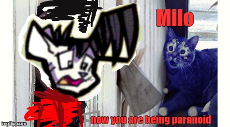 Milo now you are being paranoid | made w/ Imgflip meme maker