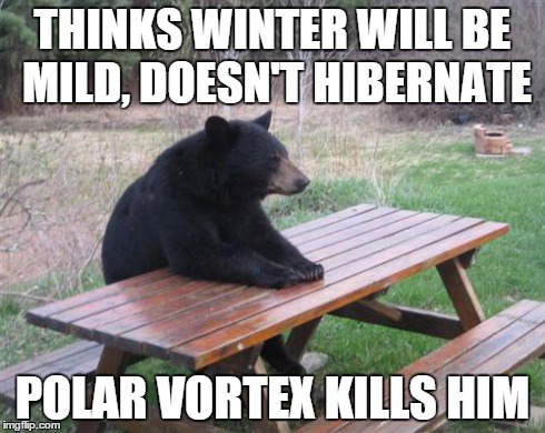 Bad Luck Bear Meme | THINKS WINTER WILL BE MILD, DOESN'T HIBERNATE POLAR VORTEX KILLS HIM | image tagged in memes,bad luck bear | made w/ Imgflip meme maker