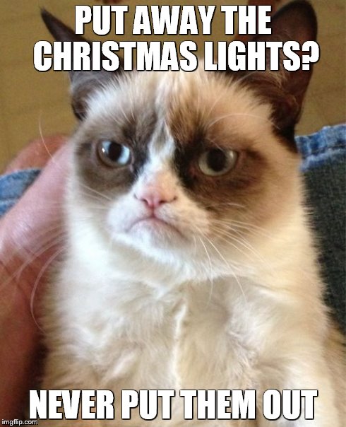 Grumpy Cat | PUT AWAY THE CHRISTMAS LIGHTS? NEVER PUT THEM OUT | image tagged in memes,grumpy cat | made w/ Imgflip meme maker
