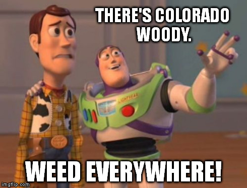 X, X Everywhere Meme | THERE'S COLORADO WOODY. WEED EVERYWHERE! | image tagged in memes,x x everywhere | made w/ Imgflip meme maker