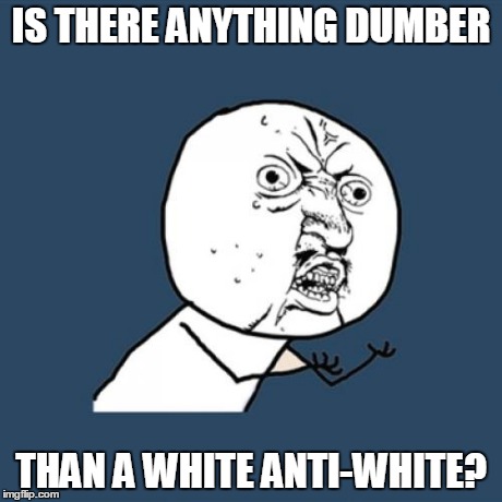 Y U No Meme | IS THERE ANYTHING DUMBER THAN A WHITE ANTI-WHITE? | image tagged in memes,y u no | made w/ Imgflip meme maker