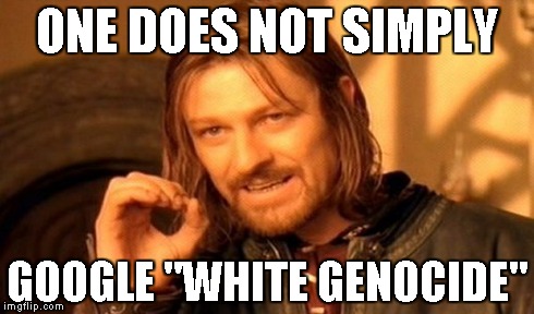 One Does Not Simply Meme | ONE DOES NOT SIMPLY GOOGLE "WHITE GENOCIDE" | image tagged in memes,one does not simply | made w/ Imgflip meme maker