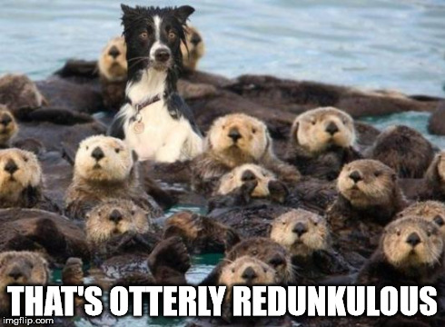 Redunkulous | THAT'S OTTERLY REDUNKULOUS | image tagged in otter,dog,ridiculous | made w/ Imgflip meme maker