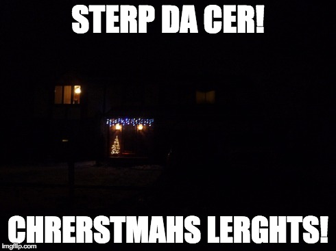 When you've been driving around looking for Christmas lights and finally find some... | STERP DA CER! CHRERSTMAHS LERGHTS! | image tagged in christmas,christmas lights | made w/ Imgflip meme maker