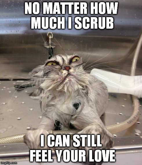 NO MATTER HOW MUCH I SCRUB I CAN STILL FEEL YOUR LOVE | image tagged in love | made w/ Imgflip meme maker