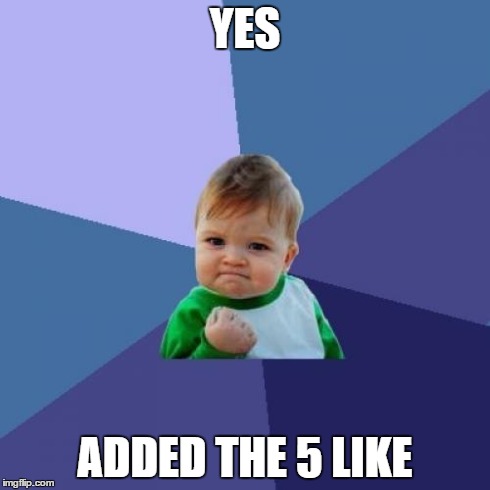 YES ADDED THE 5 LIKE | image tagged in memes,success kid | made w/ Imgflip meme maker
