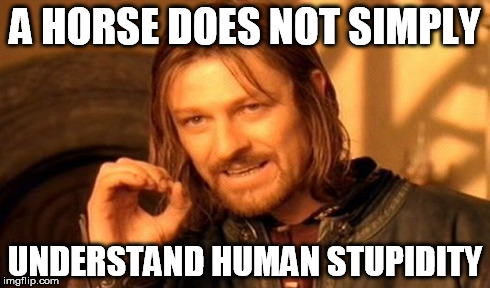 One Does Not Simply Meme | A HORSE DOES NOT SIMPLY UNDERSTAND HUMAN STUPIDITY | image tagged in memes,one does not simply | made w/ Imgflip meme maker