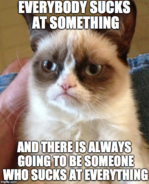 Grumpy Cat | EVERYBODY SUCKS AT SOMETHING AND THERE IS ALWAYS GOING TO BE SOMEONE WHO SUCKS AT EVERYTHING | image tagged in memes,grumpy cat | made w/ Imgflip meme maker