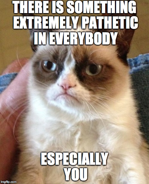 Grumpy Cat | THERE IS SOMETHING EXTREMELY PATHETIC IN EVERYBODY ESPECIALLY YOU | image tagged in memes,grumpy cat | made w/ Imgflip meme maker