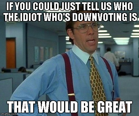 That Would Be Great | IF YOU COULD JUST TELL US WHO THE IDIOT WHO'S DOWNVOTING IS THAT WOULD BE GREAT | image tagged in memes,that would be great | made w/ Imgflip meme maker