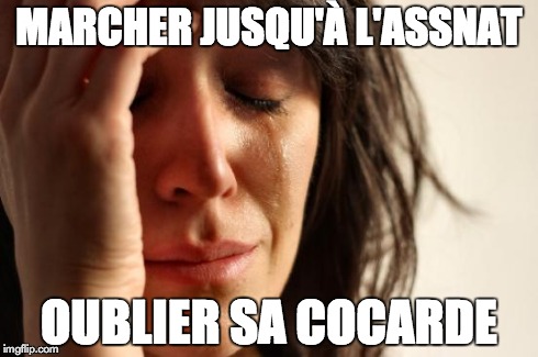 MARCHER JUSQU'À L'ASSNAT OUBLIER SA COCARDE | image tagged in memes,first world problems | made w/ Imgflip meme maker