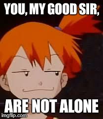 Derp Face Misty | YOU, MY GOOD SIR, ARE NOT ALONE | image tagged in derp face misty | made w/ Imgflip meme maker