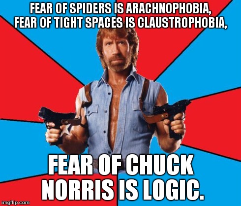 Chuck Norris With Guns | FEAR OF SPIDERS IS ARACHNOPHOBIA, FEAR OF TIGHT SPACES IS CLAUSTROPHOBIA, FEAR OF CHUCK NORRIS IS LOGIC. | image tagged in chuck norris,memes,america | made w/ Imgflip meme maker
