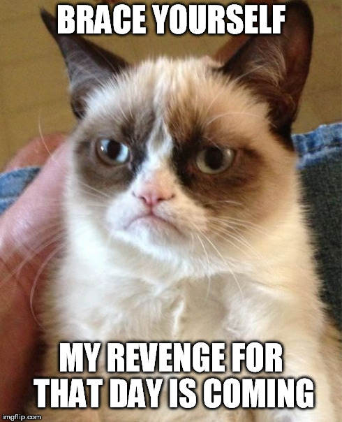 Grumpy Cat Meme | BRACE YOURSELF MY REVENGE FOR THAT DAY IS COMING | image tagged in memes,grumpy cat | made w/ Imgflip meme maker