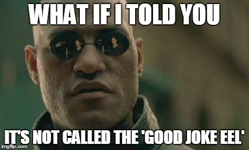 Matrix Morpheus Meme | WHAT IF I TOLD YOU IT'S NOT CALLED THE 'GOOD JOKE EEL' | image tagged in memes,matrix morpheus | made w/ Imgflip meme maker