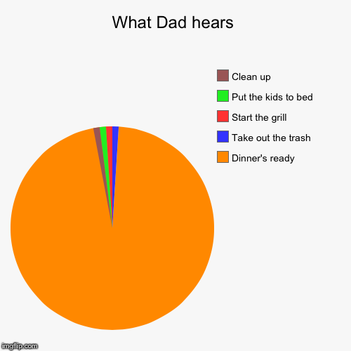 Dad's hearing | image tagged in funny,pie charts | made w/ Imgflip chart maker
