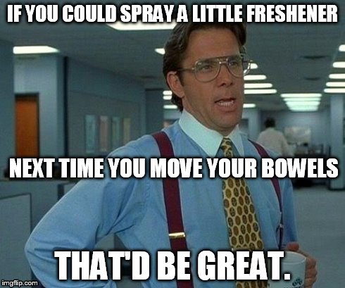 My Girlfriend Said To Me
 | IF YOU COULD SPRAY A LITTLE FRESHENER THAT'D BE GREAT. NEXT TIME YOU MOVE YOUR BOWELS | image tagged in memes,that would be great,farts,bathroom | made w/ Imgflip meme maker
