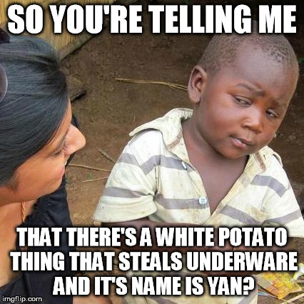 Third World Skeptical Kid Meme | SO YOU'RE TELLING ME THAT THERE'S A WHITE POTATO THING THAT STEALS UNDERWARE AND IT'S NAME IS YAN? | image tagged in memes,third world skeptical kid | made w/ Imgflip meme maker