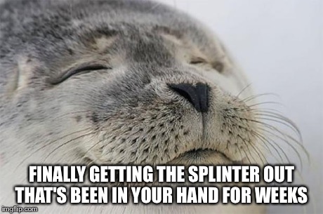 Satisfied Seal Meme | FINALLY GETTING THE SPLINTER OUT THAT'S BEEN IN YOUR HAND FOR WEEKS | image tagged in memes,satisfied seal | made w/ Imgflip meme maker