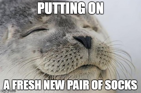 Satisfied Seal Meme | PUTTING ON A FRESH NEW PAIR OF SOCKS | image tagged in memes,satisfied seal | made w/ Imgflip meme maker