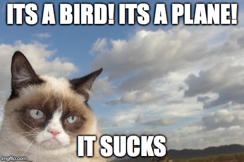 Grumpy Cat Sky | ITS A BIRD! ITS A PLANE! IT SUCKS | image tagged in memes,grumpy cat sky,grumpy cat | made w/ Imgflip meme maker