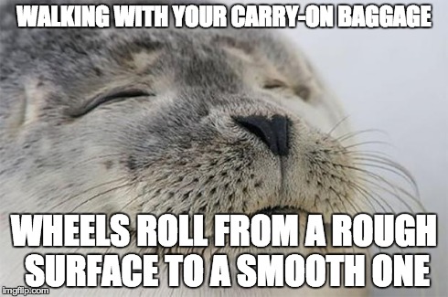Satisfied Seal | WALKING WITH YOUR CARRY-ON BAGGAGE WHEELS ROLL FROM A ROUGH SURFACE TO A SMOOTH ONE | image tagged in memes,satisfied seal,AdviceAnimals | made w/ Imgflip meme maker