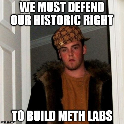 Our historic right | WE MUST DEFEND OUR HISTORIC RIGHT TO BUILD METH LABS | image tagged in memes,scumbag steve,meth labs,the other white meat,bullshit | made w/ Imgflip meme maker