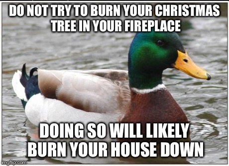 Actual Advice Mallard | DO NOT TRY TO BURN YOUR CHRISTMAS TREE IN YOUR FIREPLACE DOING SO WILL LIKELY BURN YOUR HOUSE DOWN | image tagged in memes,actual advice mallard,AdviceAnimals | made w/ Imgflip meme maker