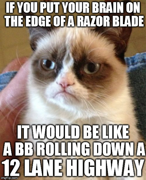 Very tiny brain | IF YOU PUT YOUR BRAIN ON THE EDGE OF A RAZOR BLADE IT WOULD BE LIKE A BB ROLLING DOWN A 12 LANE HIGHWAY | image tagged in memes,grumpy cat,stupid,idiot,moron,fool | made w/ Imgflip meme maker
