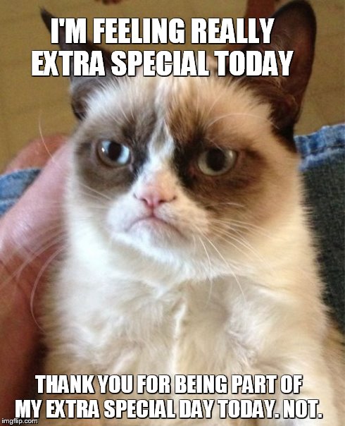 Extra Special Day | I'M FEELING REALLY EXTRA SPECIAL TODAY THANK YOU FOR BEING PART OF MY EXTRA SPECIAL DAY TODAY. NOT. | image tagged in memes,grumpy cat | made w/ Imgflip meme maker