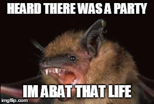 I'm abat parties. | HEARD THERE WAS A PARTY IM ABAT THAT LIFE | image tagged in abat that life | made w/ Imgflip meme maker