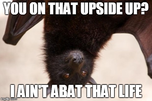 I defy gravity. | YOU ON THAT UPSIDE UP? I AIN'T ABAT THAT LIFE | image tagged in abat that life | made w/ Imgflip meme maker