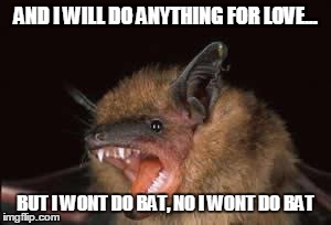 It's not in my nature to do bat for love. No I'm not abat that life. | AND I WILL DO ANYTHING FOR LOVE... BUT I WONT DO BAT, NO I WONT DO BAT | image tagged in abat that life | made w/ Imgflip meme maker