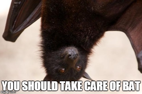 Abat that life | YOU SHOULD TAKE CARE OF BAT | image tagged in abat that life | made w/ Imgflip meme maker