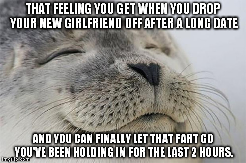 Satisfied Seal | THAT FEELING YOU GET WHEN YOU DROP YOUR NEW GIRLFRIEND OFF AFTER A LONG DATE AND YOU CAN FINALLY LET THAT FART GO YOU'VE BEEN HOLDING IN FOR | image tagged in memes,satisfied seal | made w/ Imgflip meme maker