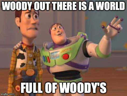 X, X Everywhere Meme | WOODY OUT THERE IS A WORLD FULL OF WOODY'S | image tagged in memes,x x everywhere | made w/ Imgflip meme maker