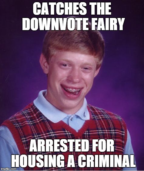 Bad Luck Brian Meme | CATCHES THE DOWNVOTE FAIRY ARRESTED FOR HOUSING A CRIMINAL | image tagged in memes,bad luck brian | made w/ Imgflip meme maker
