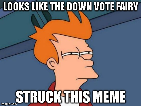 Futurama Fry Meme | LOOKS LIKE THE DOWN VOTE FAIRY STRUCK THIS MEME | image tagged in memes,futurama fry | made w/ Imgflip meme maker