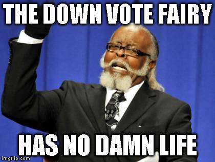 Too Damn High | THE DOWN VOTE FAIRY HAS NO DAMN LIFE | image tagged in memes,too damn high | made w/ Imgflip meme maker