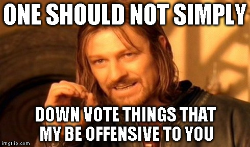 One Does Not Simply Meme | ONE SHOULD NOT SIMPLY DOWN VOTE THINGS THAT MY BE OFFENSIVE TO YOU | image tagged in memes,one does not simply | made w/ Imgflip meme maker