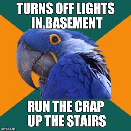 Paranoid Parrot | TURNS OFF LIGHTS IN BASEMENT RUN THE CRAP UP THE STAIRS | image tagged in memes,paranoid parrot | made w/ Imgflip meme maker