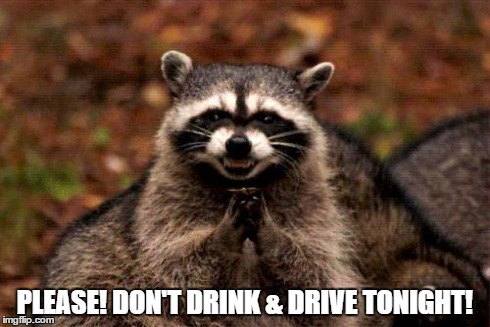 Evil Plotting Raccoon | PLEASE! DON'T DRINK & DRIVE TONIGHT! | image tagged in memes,evil plotting raccoon | made w/ Imgflip meme maker