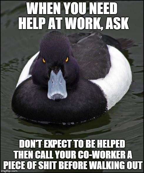 Angry duck | WHEN YOU NEED HELP AT WORK, ASK DON'T EXPECT TO BE HELPED THEN CALL YOUR CO-WORKER A PIECE OF SHIT BEFORE WALKING OUT | image tagged in angry duck | made w/ Imgflip meme maker