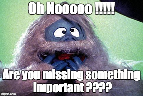 Oh Nooooo !!!!! Are you missing something important ???? | image tagged in missing something | made w/ Imgflip meme maker