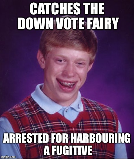 Bad Luck Brian | CATCHES THE DOWN VOTE FAIRY ARRESTED FOR HARBOURING A FUGITIVE | image tagged in memes,bad luck brian | made w/ Imgflip meme maker