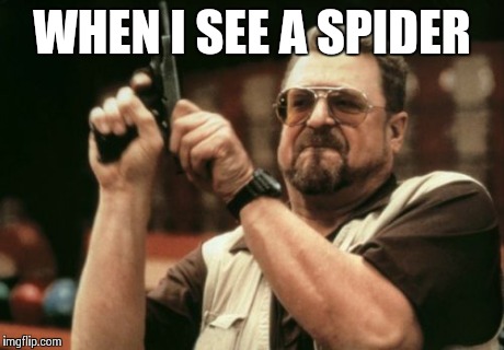 Am I The Only One Around Here Meme | WHEN I SEE A SPIDER | image tagged in memes,am i the only one around here | made w/ Imgflip meme maker