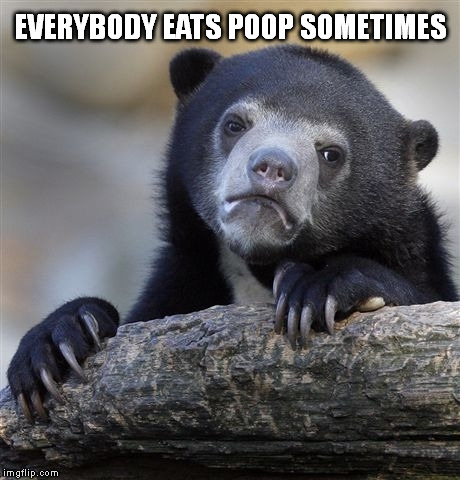Confession Bear Meme | EVERYBODY EATS POOP SOMETIMES | image tagged in memes,confession bear | made w/ Imgflip meme maker