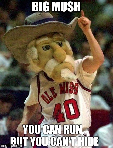 BIG MUSH YOU CAN RUN, BUT YOU CAN'T HIDE | image tagged in colonel reb | made w/ Imgflip meme maker