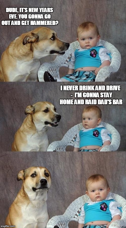 play it safe | DUDE, IT'S NEW YEARS EVE. YOU GONNA GO OUT AND GET HAMMERED? I NEVER DRINK AND DRIVE  -  I'M GONNA STAY HOME AND RAID DAD'S BAR | image tagged in memes,dad joke dog | made w/ Imgflip meme maker
