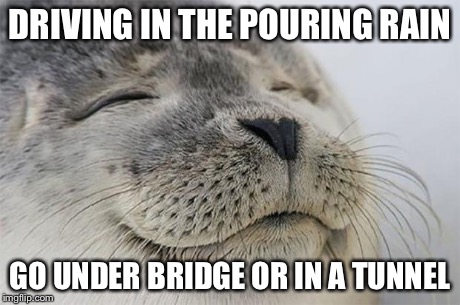 Satisfied Seal | DRIVING IN THE POURING RAIN GO UNDER BRIDGE OR IN A TUNNEL | image tagged in memes,satisfied seal,AdviceAnimals | made w/ Imgflip meme maker